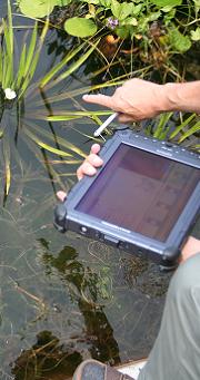 onderzoek waterplanten