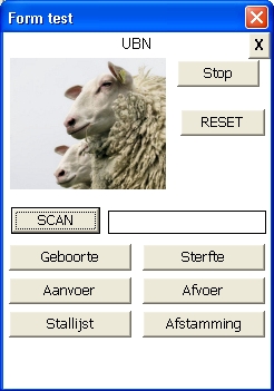schapen